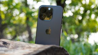 The iPhone 14 Pro at an angle on a piece of wood near a green scene.