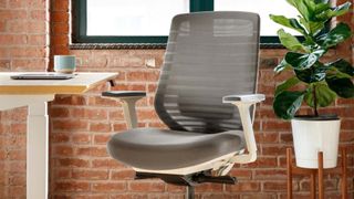 Branch Ergonomic Chair review