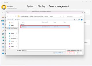 Open ICM color profile file