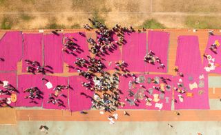 people on pink cloth