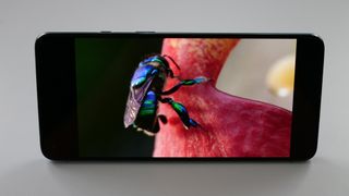 OnePlus 8T review