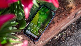 The colorful home screen of the Google Pixel 8a under some flowers