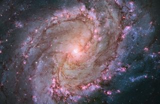 This Hubble Space Telescope image shows the full beauty of nearby spiral galaxy M83 in a mosaic of many photos stitched together. The magentas and blues indicate star-forming regions. Also known as the Southern Pinwheel, M83 is located 15 million light-years away in the constellation Hydra. Image released January 2014.
