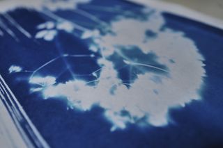 Praktyka Cyanotype Workshop