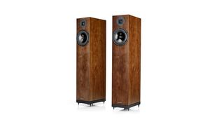 Best floorstanding speaker over £2500