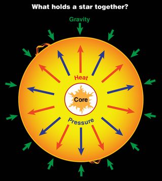 A diagram showing the balance between fusion and gravity in a star.