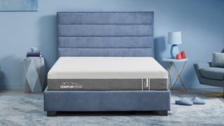 The Tempur-Pedic Tempur Cloud mattress on. blue fabric frame in a blue bedroom