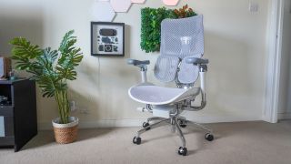 Sihoo Doro S300 ergonomic chair