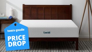 Memorial Day Mattress Sales, featuring the Lucid Memory Foam Mattress on a dark wooden bed frame