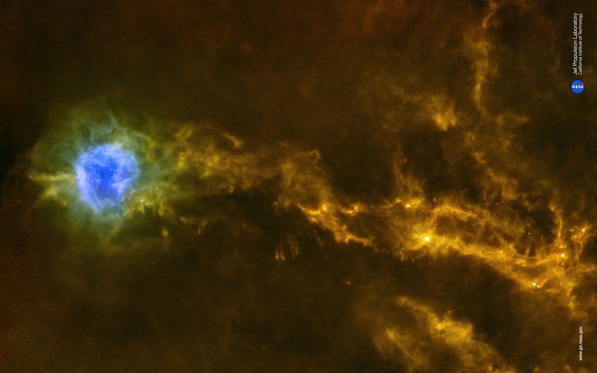 Dense filaments of gas in the IC5146 interstellar cloud, in an infrared photo from ESA’s Herschel space observatory.