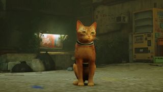 Stray trophy guide - Orange cat from Stray looking at the camera while sitting in an alley