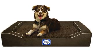 Sealy Lux Premium Memory Foam Dog Bed