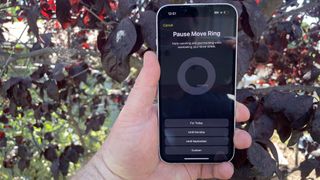 Paused Move Ring in iOS 18 fitness app on an iPhone screen