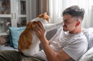 A man plays with his orange cat