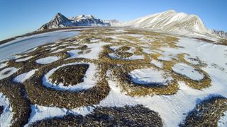 Elaborate stone patterns created by ice needles.