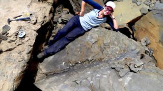 A female researchers lies by a newly discovered fossil tree.