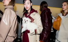 woman holding a white fluffy dog