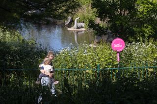 crystal palace park view of water