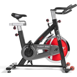 Sunny Health and Fitness Bike SF-B1002