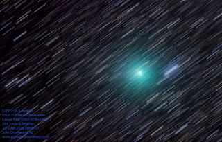 Comet Lemmon Seen in New Zealand