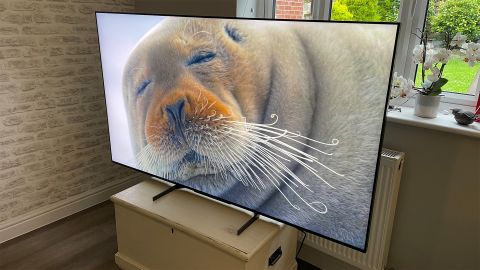 Mini LED TV: Sony XR-65X95L