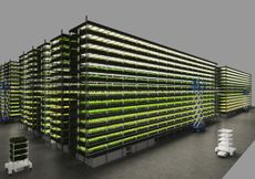 Vertical Farm in Copenhagen