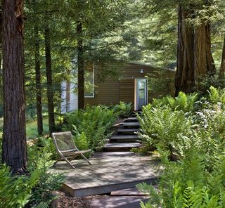 The house has been built to be at one with its surroundings