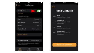 Apple Watch AssitiveTouch guide