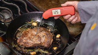 Best meat thermometers