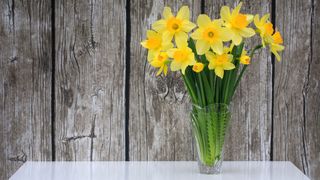 A vase of daffodils on a table