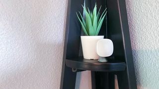 ecobee SmartSensor on a wooden shelf in front of a plant.