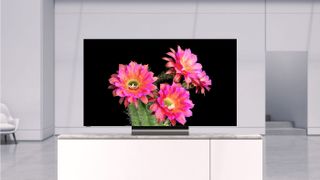 Vizio OLED TV (OLED55-H1)