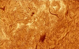 close up detailed views of the sun shows a swirling orange surface with darker patches (sunspots) and long dark streaks (filaments)
