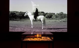 Marina Abramović on a horse