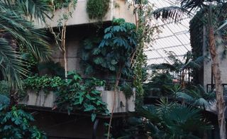 Luscious urban jungle