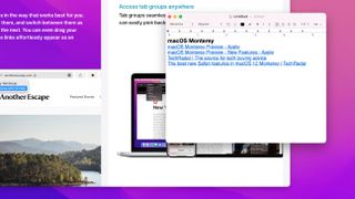 How to use Safari Tab Groups in macOS Monterey