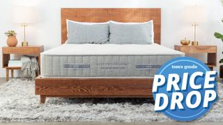 Brentwood Home Labor Day Sale on mattresses