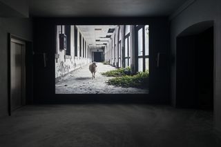 disused hospital with screen