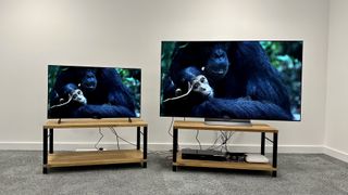 LG OLED42C3 vs OLED65C3