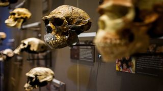 The hominin wall at the Natural History Museum of Utah in Salt Lake City.