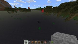 Swamp biome