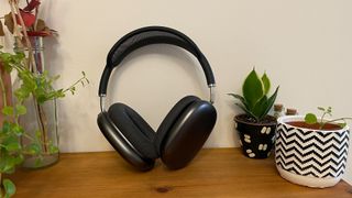 Apple AirPods Max wireless headphones on a sideboard among pot plants