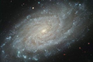 Is this what our own Milky Way Galaxy looks like from far away? Similar in size and design to our home galaxy, spiral galaxy NGC 3370 is about 100 million light-years away, toward the constellation Leo. 