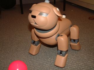 Sony Aibo 25 years