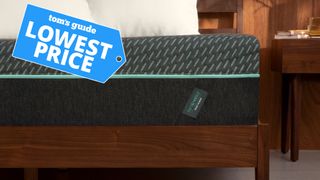 Tuft & Needle Mint Hybrid mattress deals