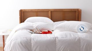 A bed fitted with bedding from The Company Store, with a tray, bowl and pair of glasses resting atop the covers