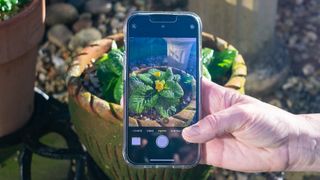 Improve your iPhone photography instantly