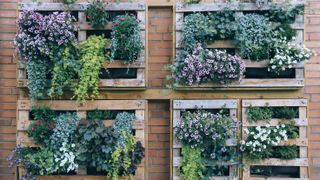 Wooden palette planter