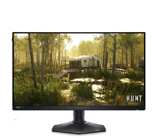 Best Gaming Monitors