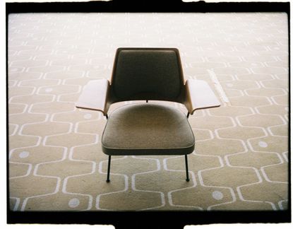 Chair by Robin Day photographed on a patterned carpet